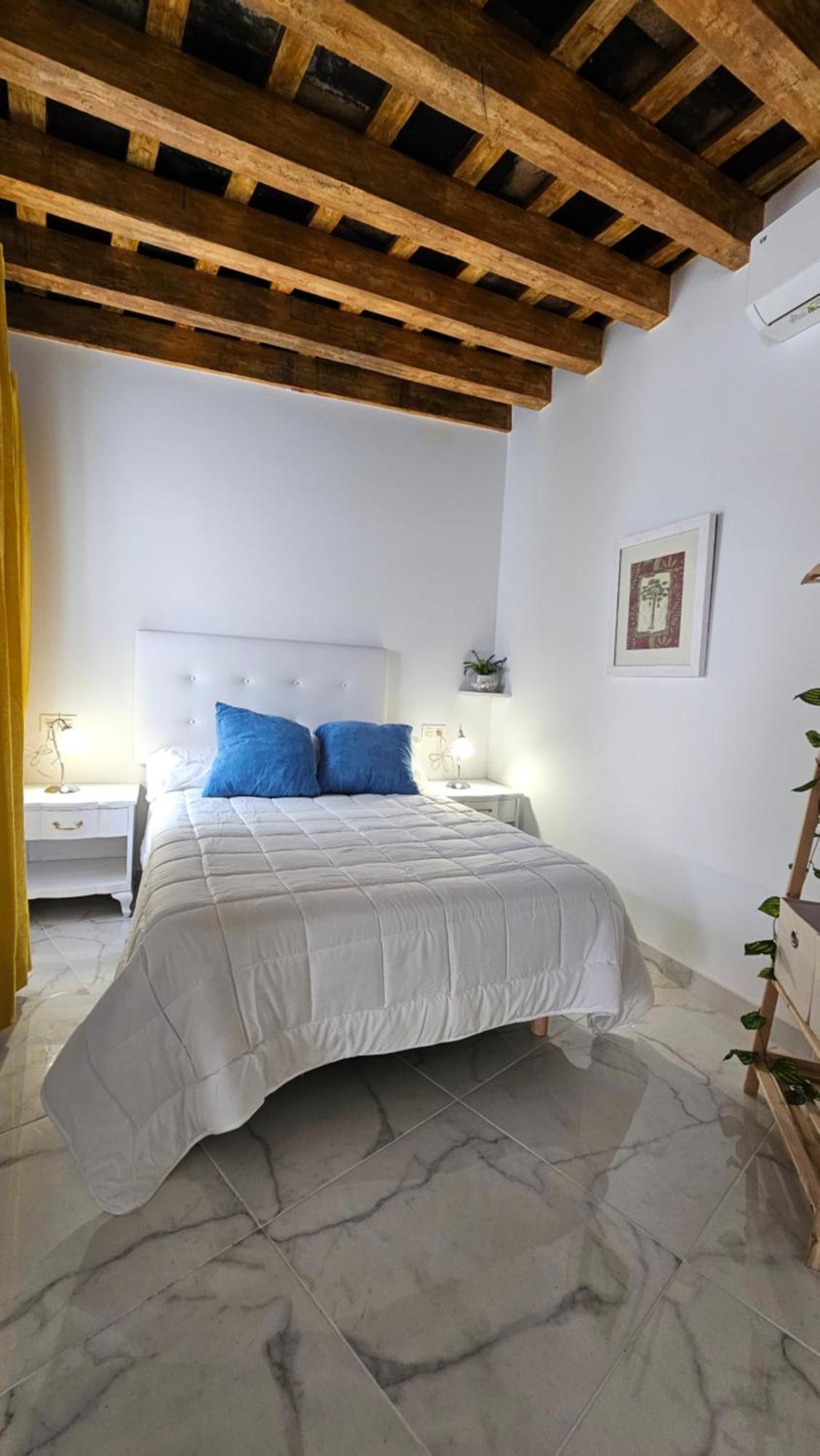 Don Roman Suites En Pleno Centro By Sanlucar Housing 桑卢卡尔-德巴拉梅达 外观 照片
